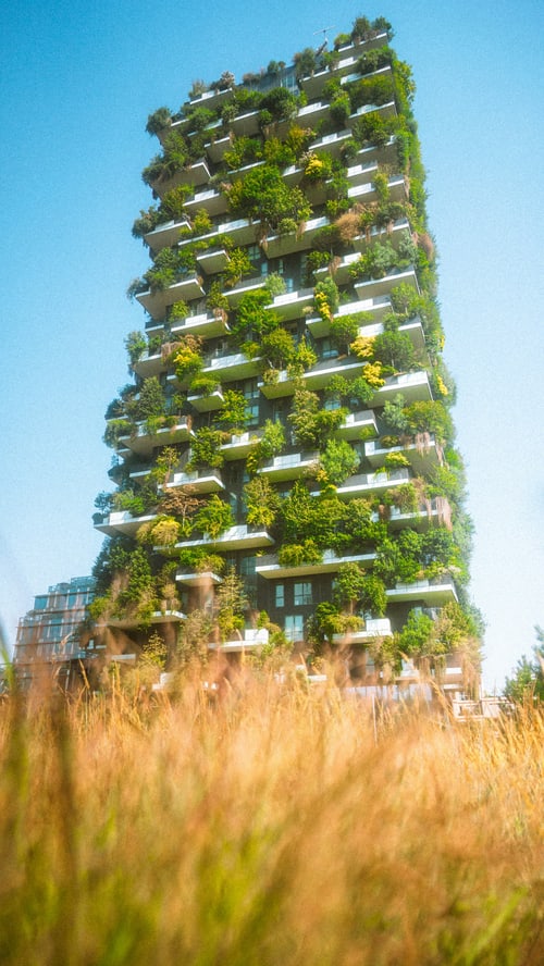 Transition écologique